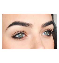 20 brosses réutilisables